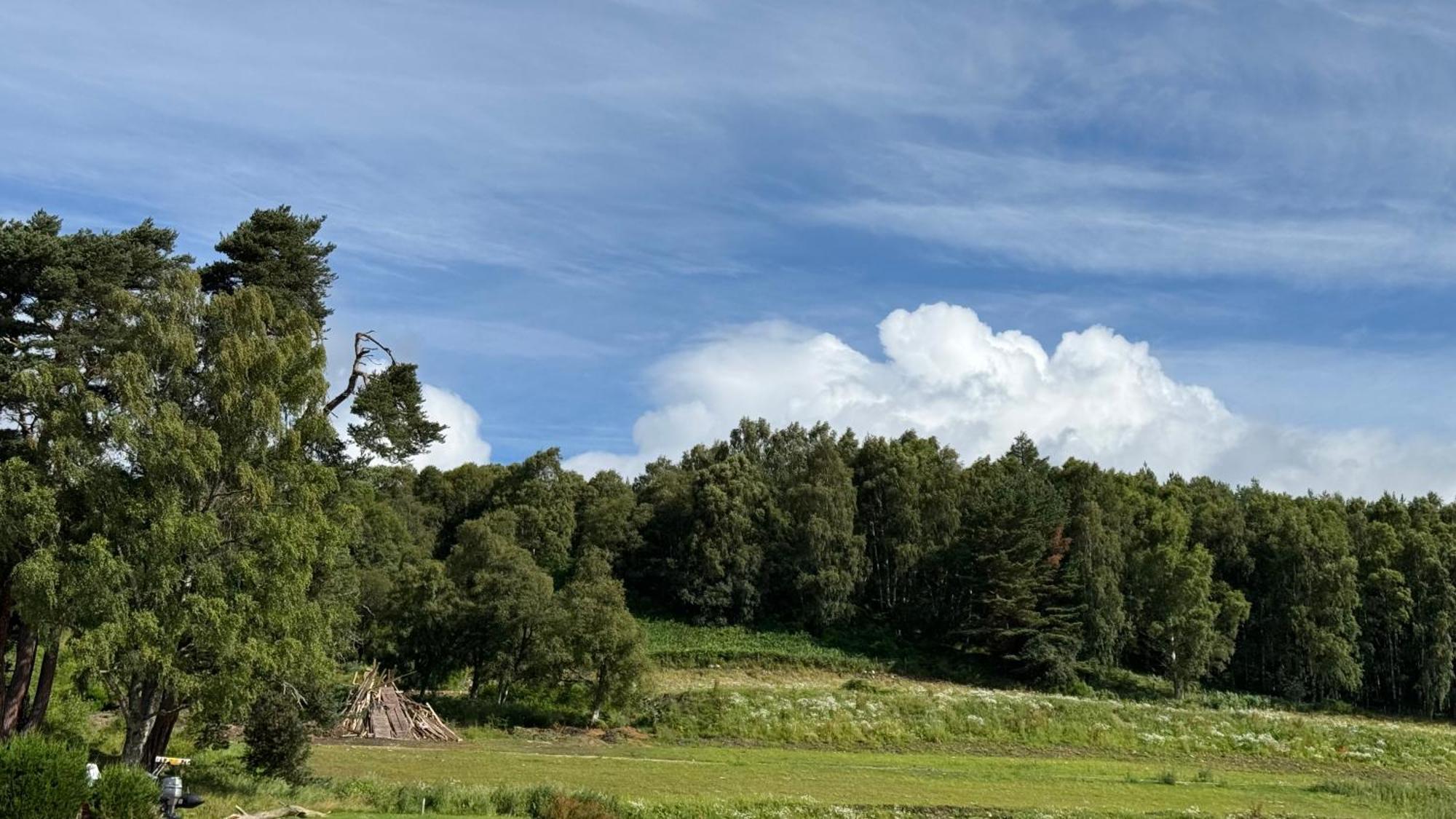 Wildcat Lodge Grantown On Spey Екстер'єр фото